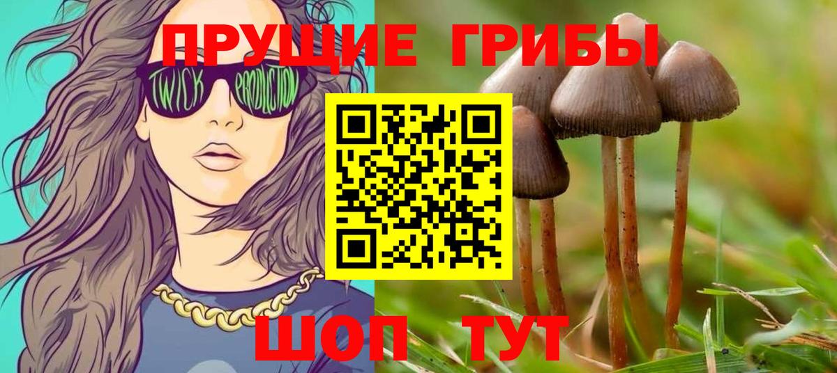 Псилоцибиновые грибы Cubensis  Вход с VPN  Галлюциногенные грибы прущие грибы  Верхняя Салда 